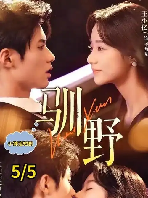 追踪者档案 刑侦剧热播全集在线观看